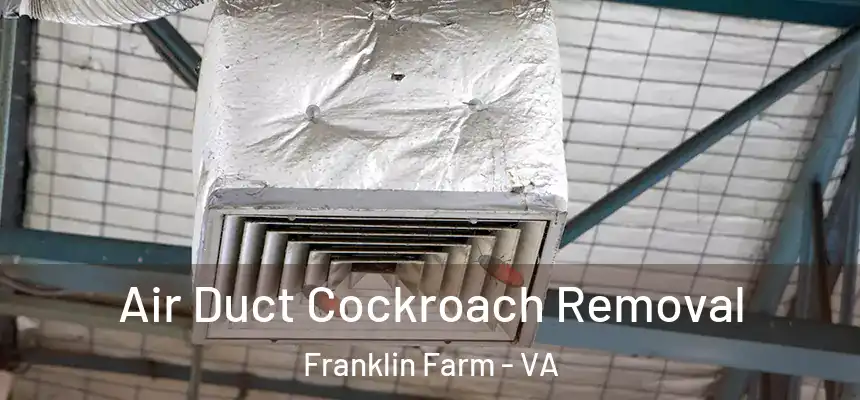 Air Duct Cockroach Removal Franklin Farm - VA