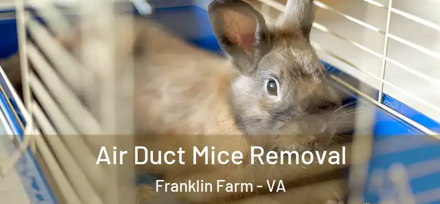 Air Duct Mice Removal Franklin Farm - VA