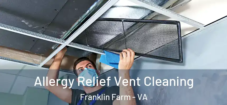 Allergy Relief Vent Cleaning Franklin Farm - VA