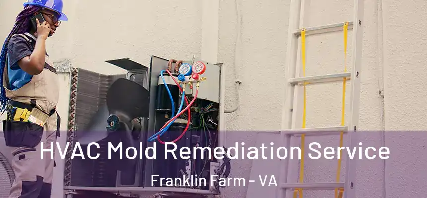 HVAC Mold Remediation Service Franklin Farm - VA