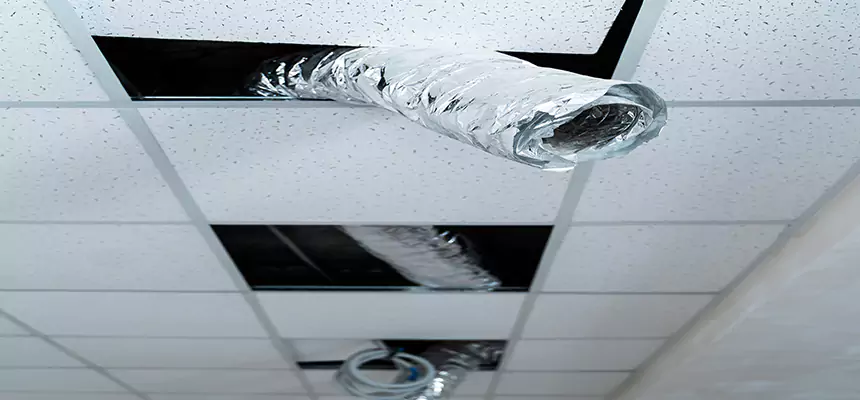 Affordable HVAC Sanitizing After Pest Removal in Franklin Farm