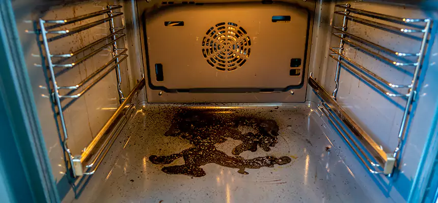 Our Dryer Vent Mold Cleaning Services in Franklin Farm, VA