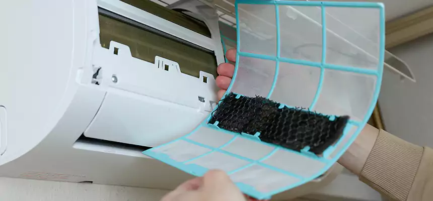 Gentle Ductwork Odor-Control Pet Dander Duct Cleaning in Franklin Farm, VA