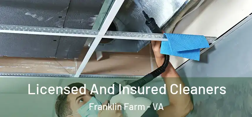 Licensed And Insured Cleaners Franklin Farm - VA