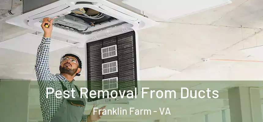 Pest Removal From Ducts Franklin Farm - VA