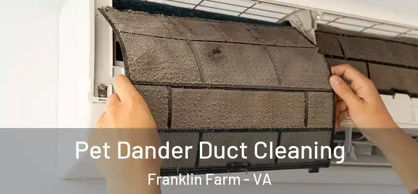  Pet Dander Duct Cleaning Franklin Farm - VA