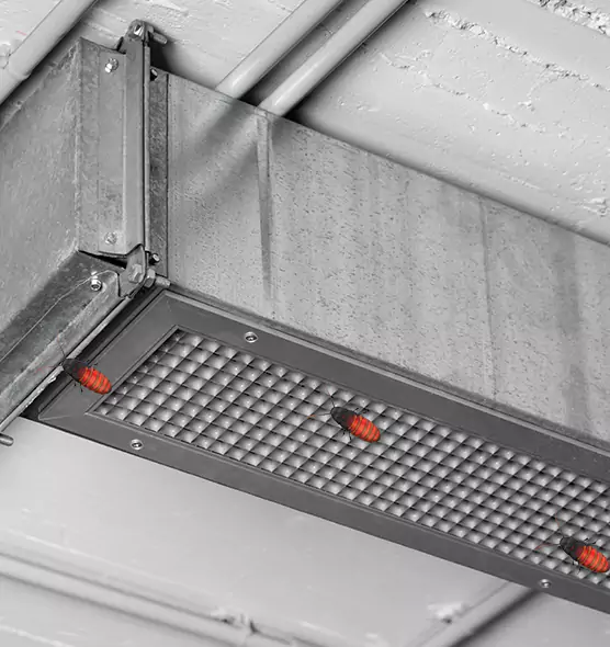 About Air Duct Cockroach Removal in Franklin Farm, VA