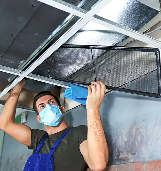 Professional Air Duct Pollen Cleaning in Franklin Farm, VA