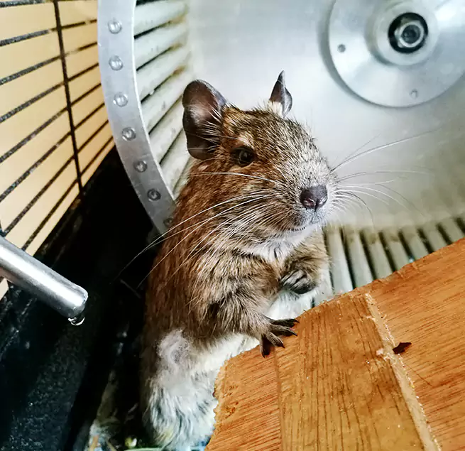 Why Homeowners & Businesses Trust Us Franklin Farm, VA